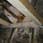 PHOTO-2025-02-05-16-18-59 2